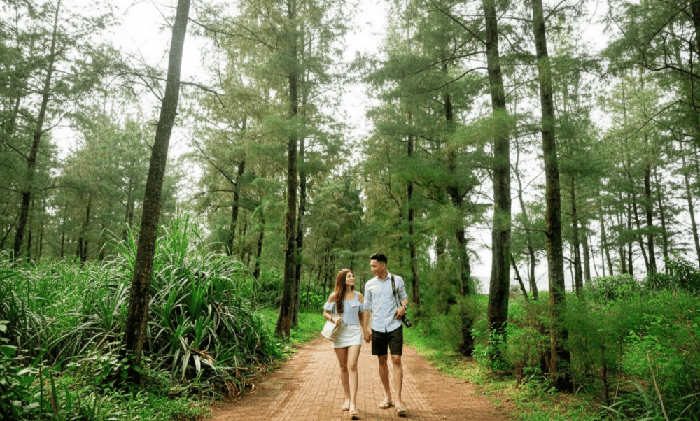 3.6. Lighthouse Area